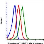 Phospho-Akt1 (Ser473) Antibody in Flow Cytometry (Flow)