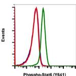 Phospho-Stat6 (Tyr641) Recombinant Rabbit Monoclonal Antibody (Stat6Y641-G12), FITC