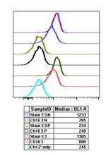 Phospho-p38 MAPK alpha (Thr180, Tyr182) Recombinant Rabbit Monoclonal Antibody (P38T180Y182-E3)