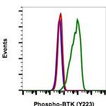 Phospho-Btk (Tyr223) Recombinant Rabbit Monoclonal Antibody (BtkY223-B4), FITC