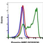 Phospho-S6 Ribosomal Protein (Ser235, Ser236) Antibody in Flow Cytometry (Flow)