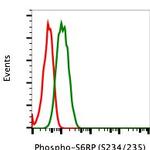 Phospho-S6 Ribosomal Protein (Ser235, Ser236) Antibody in Flow Cytometry (Flow)