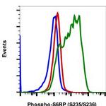 Phospho-S6 Ribosomal Protein (Ser235, Ser236) Antibody in Flow Cytometry (Flow)