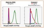 Phospho-4EBP1 (Thr37, Thr46) Antibody in Flow Cytometry (Flow)
