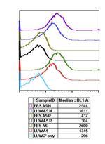 Phospho-4EBP1 (Thr37, Thr46) Antibody in Flow Cytometry (Flow)