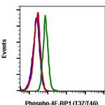 Phospho-4EBP1 (Thr37, Thr46) Antibody in Flow Cytometry (Flow)