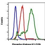 Phospho-Histone H3 (Ser28) Antibody in Flow Cytometry (Flow)