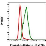 Phospho-Histone H3 (Ser28) Antibody in Flow Cytometry (Flow)