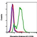Phospho-Histone H3 (Ser28) Antibody in Flow Cytometry (Flow)