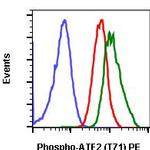 Phospho-ATF2 (Thr71) Recombinant Rabbit Monoclonal Antibody (ATF2T71-G3), PE