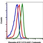 Phospho-ATF2 (Thr71) Recombinant Rabbit Monoclonal Antibody (ATF2T71-G3), APC
