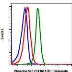 Phospho-Src (Tyr416) Antibody in Flow Cytometry (Flow)