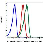 Phospho-ZAP70/Syk (Tyr319, Tyr352) Recombinant Rabbit Monoclonal Antibody (Zap70Y319-A3), APC