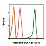 Phospho-EGFR (Tyr1068) Antibody in Flow Cytometry (Flow)