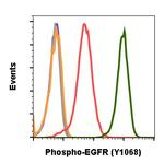 Phospho-EGFR (Tyr1068) Antibody in Flow Cytometry (Flow)