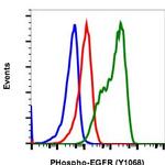 Phospho-EGFR (Tyr1068) Antibody in Flow Cytometry (Flow)