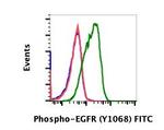Phospho-EGFR (Tyr1068) Recombinant Rabbit Monoclonal Antibody (EGFRY1068-E5), FITC
