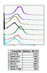 Phospho-CrkL (Tyr207) Antibody in Flow Cytometry (Flow)