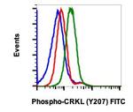 Phospho-CrkL (Tyr207) Recombinant Rabbit Monoclonal Antibody (CrkLY207-G4), FITC