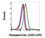 Phospho-CrkL (Tyr207) Recombinant Rabbit Monoclonal Antibody (CrkLY207-G4), APC