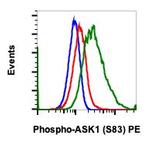 Phospho-Ask1 (Ser83) Recombinant Rabbit Monoclonal Antibody (Ask1S83-G4), PE