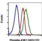 Phospho-Ask1 (Ser83) Recombinant Rabbit Monoclonal Antibody (Ask1S83-G4), FITC