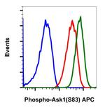 Phospho-Ask1 (Ser83) Recombinant Rabbit Monoclonal Antibody (Ask1S83-G4), APC
