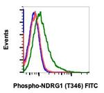 Phospho-NDRG1 (Thr346) Recombinant Rabbit Monoclonal Antibody (NDRG1T346-F5), FITC