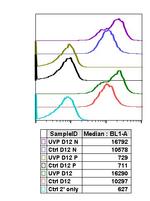 Phospho-Chk2 (Thr68) Antibody in Flow Cytometry (Flow)