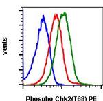 Phospho-Chk2 (Thr68) Recombinant Rabbit Monoclonal Antibody (Chk2T68-D12), PE