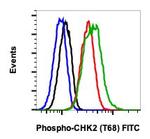 Phospho-Chk2 (Thr68) Recombinant Rabbit Monoclonal Antibody (Chk2T68-D12), FITC