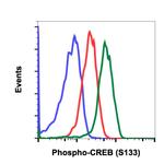 Phospho-CREB (Ser133) Antibody in Flow Cytometry (Flow)