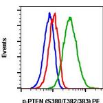 Phospho-PTEN (Ser380, Thr382, Thr383) Recombinant Rabbit Monoclonal Antibody (PTENS380T382383-E4), PE