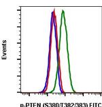 Phospho-PTEN (Ser380, Thr382, Thr383) Recombinant Rabbit Monoclonal Antibody (PTENS380T382383-E4), FITC