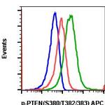 Phospho-PTEN (Ser380, Thr382, Thr383) Recombinant Rabbit Monoclonal Antibody (PTENS380T382383-E4), APC