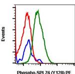 Phospho-SLP76 (Tyr128) Recombinant Rabbit Monoclonal Antibody (SLP76Y128-3F8), PE