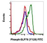 Phospho-SLP76 (Tyr128) Recombinant Rabbit Monoclonal Antibody (SLP76Y128-3F8), FITC