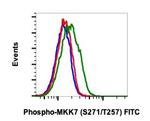 Phospho-MKK7 (Ser271, Thr275) Recombinant Rabbit Monoclonal Antibody (MKK7S271T275-R4F9), FITC