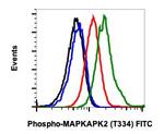 Phospho-MAPKAPK2 (Thr334) Recombinant Rabbit Monoclonal Antibody (MAPKAPK2T334-H2), FITC