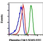 Phospho-Chk1 (Ser345) Antibody in Flow Cytometry (Flow)