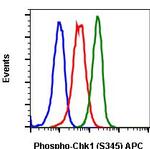 Phospho-Chk1 (Ser345) Recombinant Rabbit Monoclonal Antibody (Chk1S345-R3F9), APC