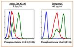 Phospho-Histone H2A.X (Ser139) Antibody in Flow Cytometry (Flow)