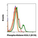 Phospho-Histone H2A.X (Ser139) Antibody in Flow Cytometry (Flow)