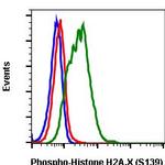 Phospho-Histone H2A.X (Ser139) Antibody in Flow Cytometry (Flow)