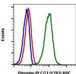 Phospho-PLCg1 (Tyr783) Recombinant Rabbit Monoclonal Antibody (PLCG1Y783-C4), APC