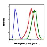 Phospho-RelB (Ser552) Antibody in Flow Cytometry (Flow)