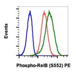 Phospho-RelB (Ser552) Recombinant Rabbit Monoclonal Antibody (RelBS552-A7), PE