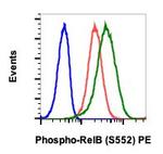 Phospho-RelB (Ser552) Antibody in Flow Cytometry (Flow)