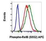 Phospho-RelB (Ser552) Recombinant Rabbit Monoclonal Antibody (RelBS552-A7), APC