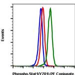 Phospho-Stat1 (Tyr701) Recombinant Rabbit Monoclonal Antibody (Stat1Y701-3E6), PE